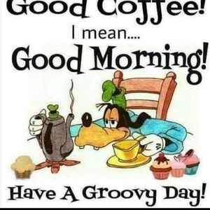 Meet your Posher, Donald